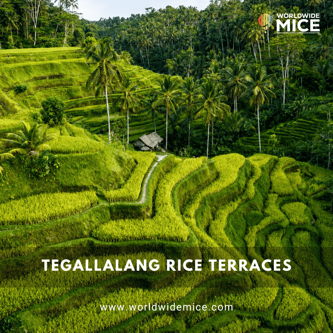 Tegallalang Rice Terraces